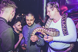 Marilyns Nightclub